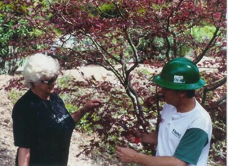 Tree doctor talking to customer about a tree