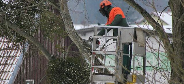 Emergency tree worker in a crane